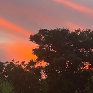 Meet your Posher, Annemieke